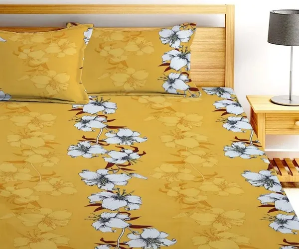 Multicolor_Cotton_Printed_Double_Bedsheet_With_Pillow_Covers