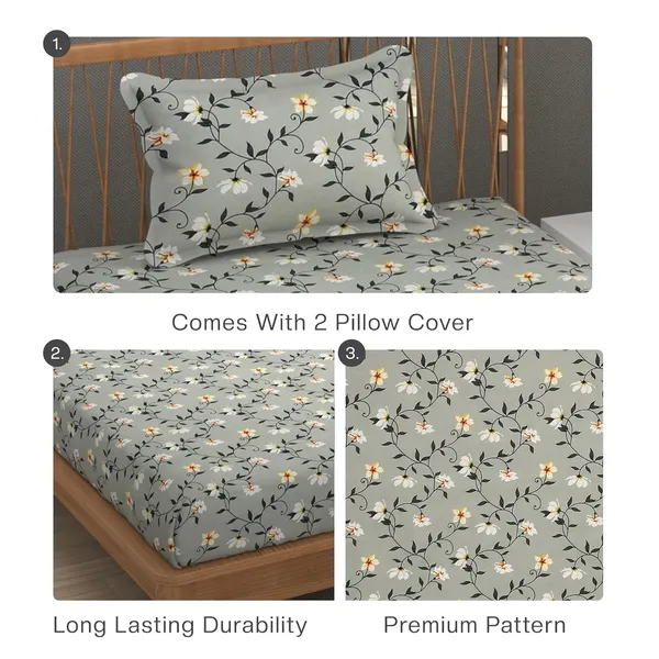 Multicolor_Cotton_Bedsheet_With_Pillow_Cover
