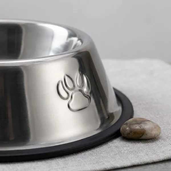 Premium_Steel_Feeding_Bowl_For_Pet