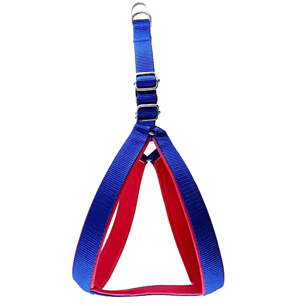 Multicolor_Best_No_Pull_Dog_Harness_With_Leash:_Comfort_And_Control_For_Every_Walk