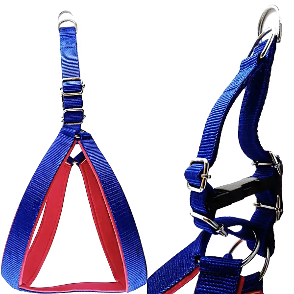 Multicolor_Best_No_Pull_Dog_Harness_With_Leash:_Comfort_And_Control_For_Every_Walk