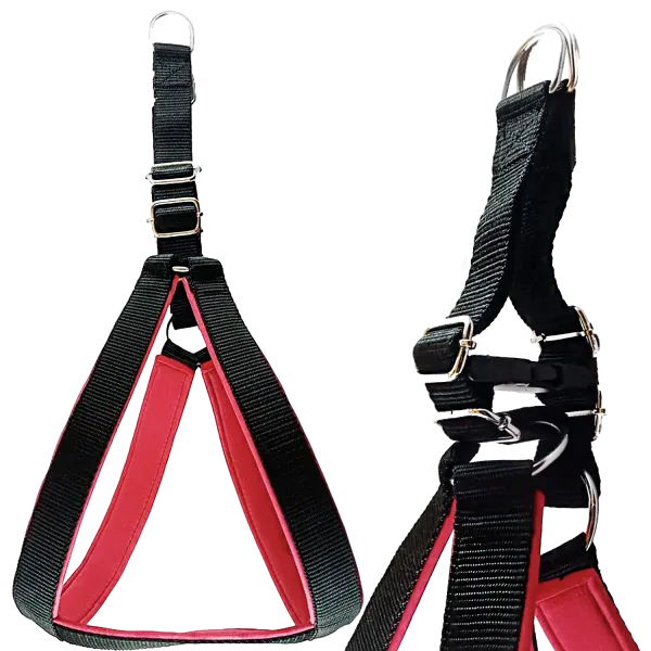 Multicolor_Best_No_Pull_Dog_Harness_With_Leash:_Comfort_And_Control_For_Every_Walk