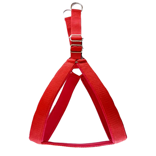 Multicolor_Best_No_Pull_Dog_Harness_With_Leash:_Comfort_And_Control_For_Every_Walk
