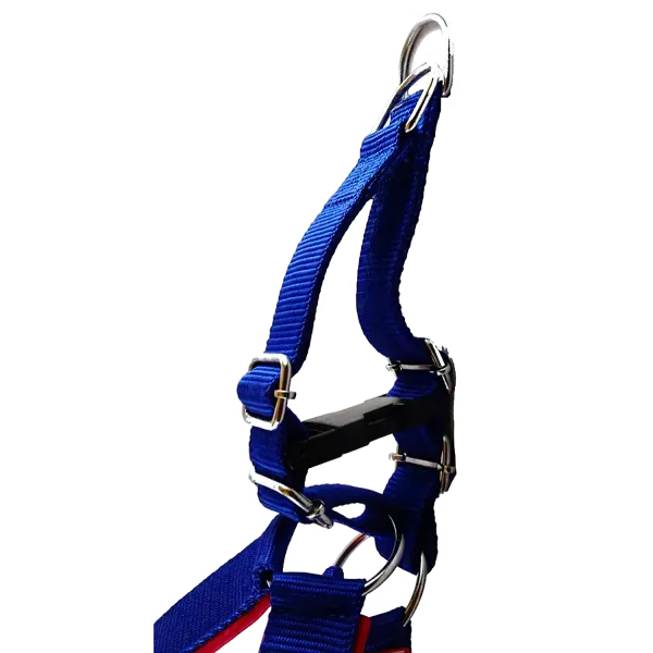 Multicolor_Best_No_Pull_Dog_Harness_With_Leash:_Comfort_And_Control_For_Every_Walk