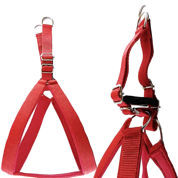 Multicolor_Best_No_Pull_Dog_Harness_With_Leash:_Comfort_And_Control_For_Every_Walk