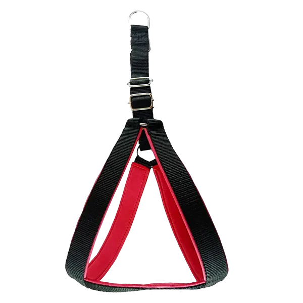 Multicolor_Best_No_Pull_Dog_Harness_With_Leash:_Comfort_And_Control_For_Every_Walk