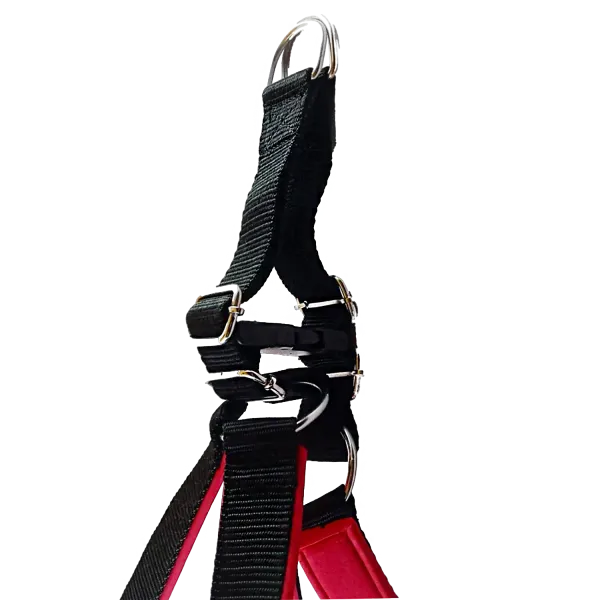 Multicolor_Best_No_Pull_Dog_Harness_With_Leash:_Comfort_And_Control_For_Every_Walk