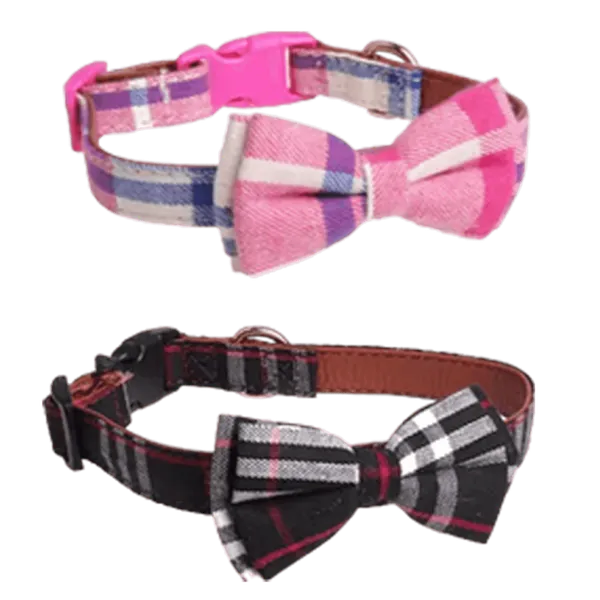 Multicolor_Collar_With_Bow_Tie_For_Dog_(Pack_Of_2)