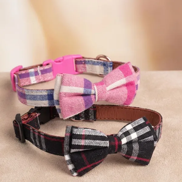 Multicolor_Collar_With_Bow_Tie_For_Dog_(Pack_Of_2)