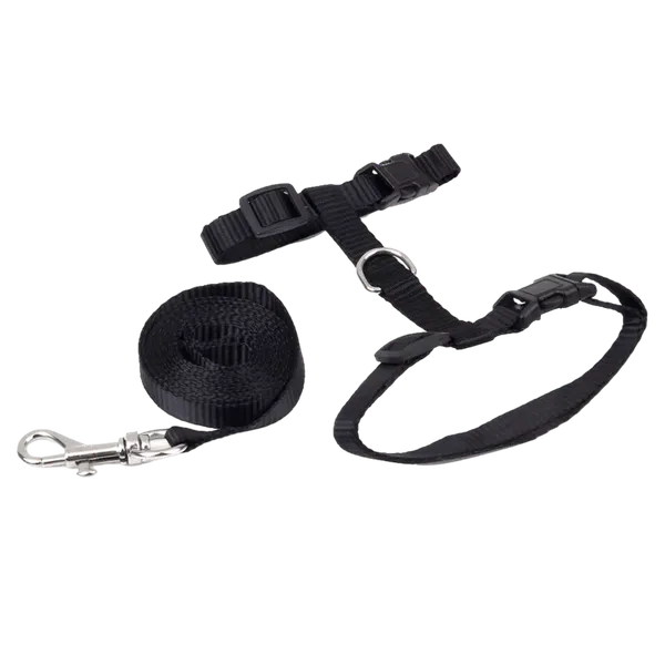 Multicolor_Harness_And_Strap_For_Cat_1_No.