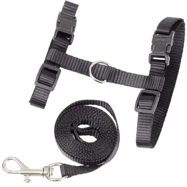 Multicolor_Harness_And_Strap_For_Cat_1_No.