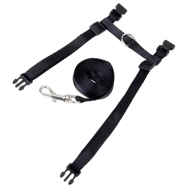 Multicolor_Harness_And_Strap_For_Cat_1_No.