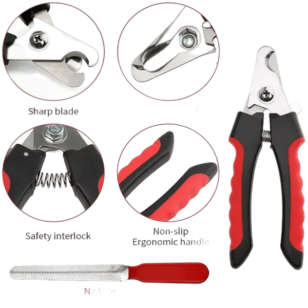 Multicolor_Nail_Cutter_With_Filer_(Combo)_For_Pet_1_Pc
