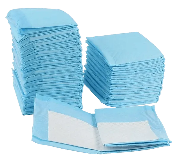 Blue_Pet_Pee_Training_Mat_(Disposable)