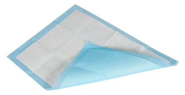 Blue_Pet_Pee_Training_Mat_(Disposable)
