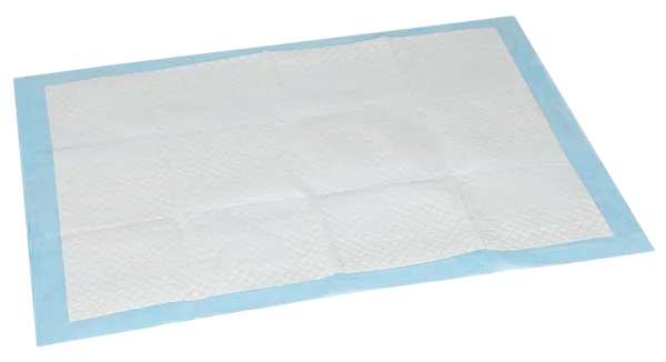 Blue_Pet_Pee_Training_Mat_(Disposable)