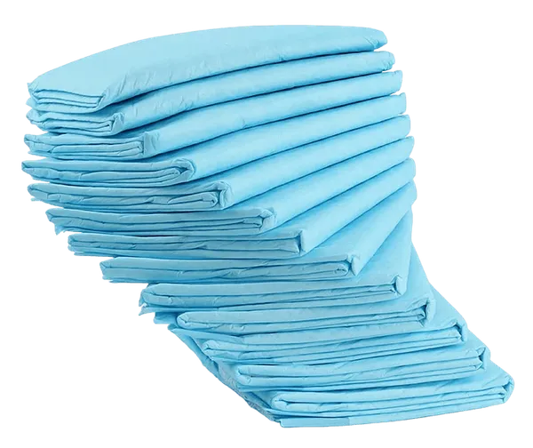 Blue_Pet_Pee_Training_Mat_(Disposable)