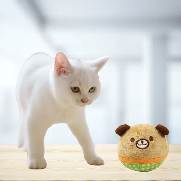 Multicolor_Premium_Paw_Face_Soft_Toys_For_Cat