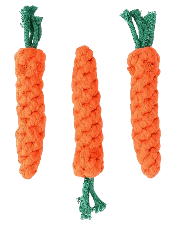 Multicolor_Rope_Toys_In_Carrot_Shape_For_Pets_(Pack_Of_3)