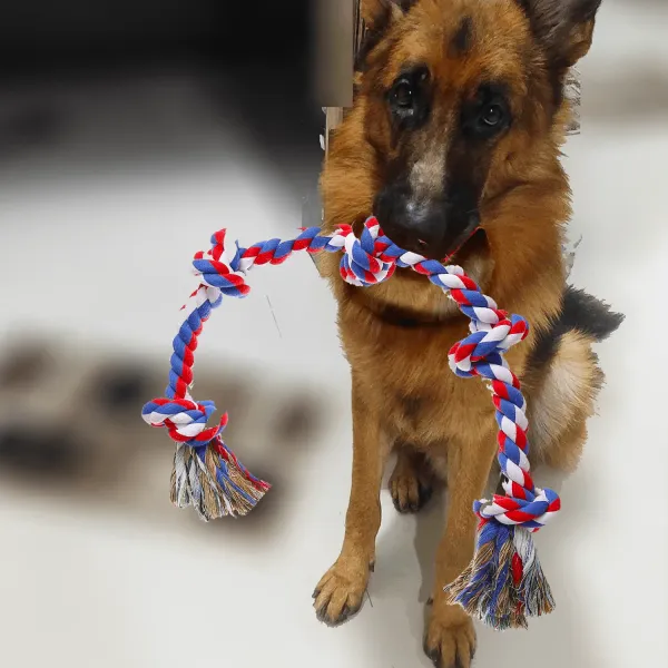 Multicolor_Tough_Tug_Rope_Toys_For_Pet_6_Knots_106Cm_X_7Cm_X_7Cm_(Pack_Of_2)