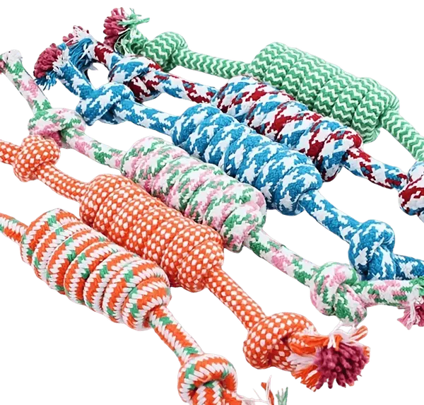 Multicolor_Rope_Toys_For_Pet_(Pack_Of_6)