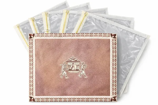 Pack_Of_6_Multicolour_Premium_Saree_Covers