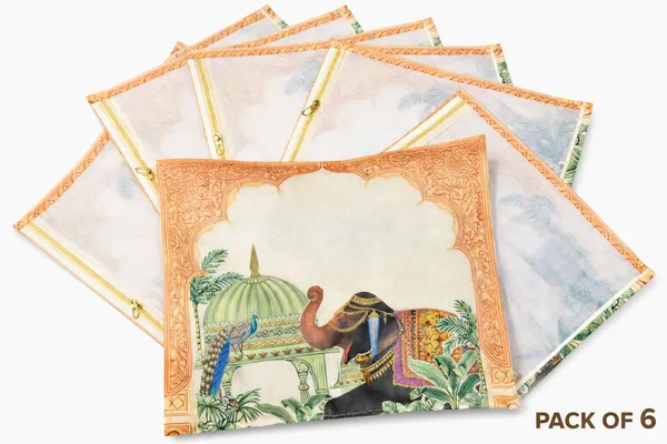 Pack_Of_6__Multicolour_Premium_Saree_Covers