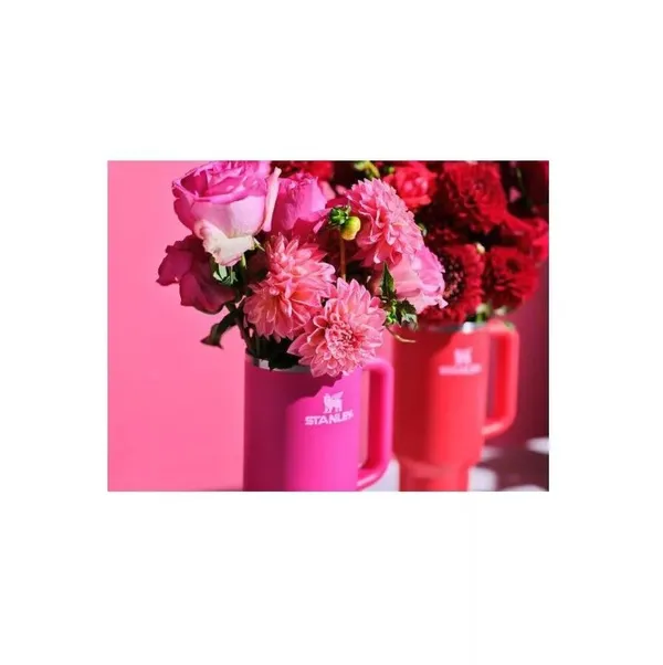 Pink_Plastic_Stanley_Bottle_Tumbler_For_Unisex