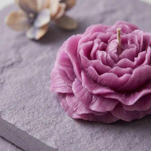 Pack_Of_2_Pink_Premium_Wax_Velvet_Peony_Candle_For_Home_Decor