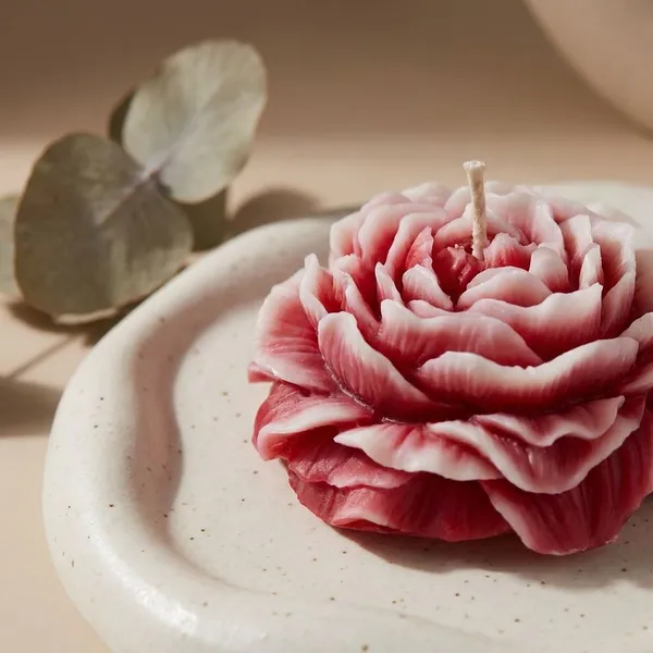 Pack_Of_2_Pink_Premium_Wax_Velvet_Peony_Candle_For_Home_Decor