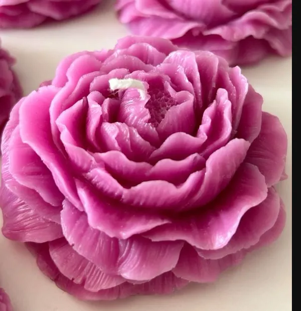 Pack_Of_2_Pink_Premium_Wax_Velvet_Peony_Candle_For_Home_Decor