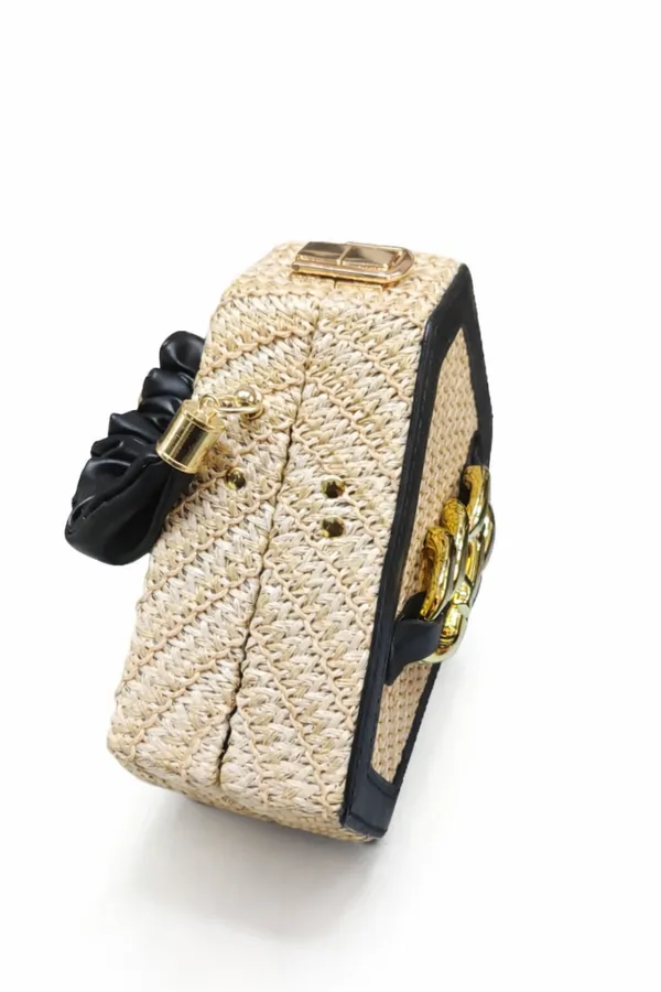 Black_Hexa_Luxe_Golden_Chain_Purse_For_Women
