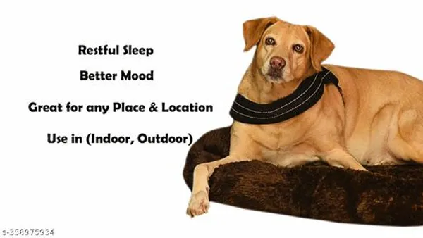 Stuffiva_Pet_Bed_For_Dogs_Cats_Puppies_Kitten_Etc_With_1_Year_Warranty