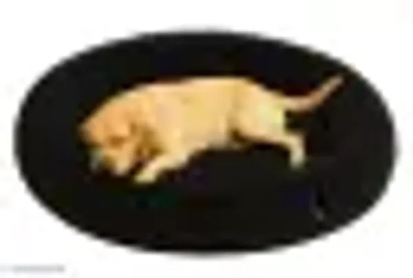 Oval_Shaped_Faux_Fur_Pet_Bed_For_Dogs_Kittens_Xl_Black