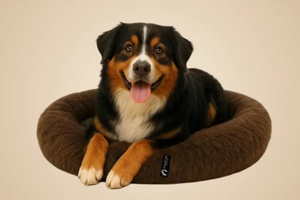 Stuffiva_Oval_Shaped_Faux_Fur_Pet_Bed_For_Dogs_Kittens_With_Reversible_Cushion_Washable_Cozy_And_Comfortable_Medium_Brown