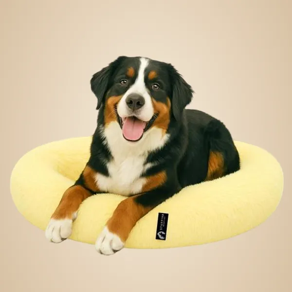 Stuffiva_Oval_Shaped_Faux_Fur_Pet_Bed_For_Dogs_Kittens_With_Reversible_Cushion_Washable_Cozy_And_Comfortable_Medium_Yellow