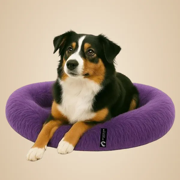 Oval_Shaped_Faux_Fur_Pet_Bed_For_Dogs_Kittens_M_Purple