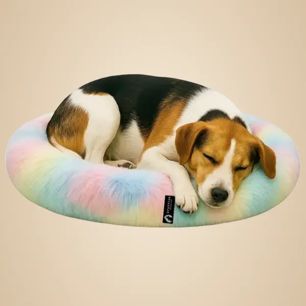 Oval_Shaped_Faux_Fur_Pet_Bed_For_Dogs_Kittens_M_Rainbow