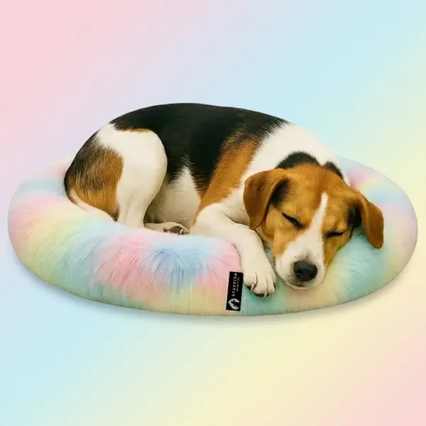 Oval_Shaped_Faux_Fur_Pet_Bed_For_Dogs_Kittens_M_Rainbow