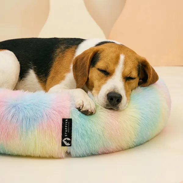 Oval_Shaped_Faux_Fur_Pet_Bed_For_Dogs_Kittens_M_Rainbow