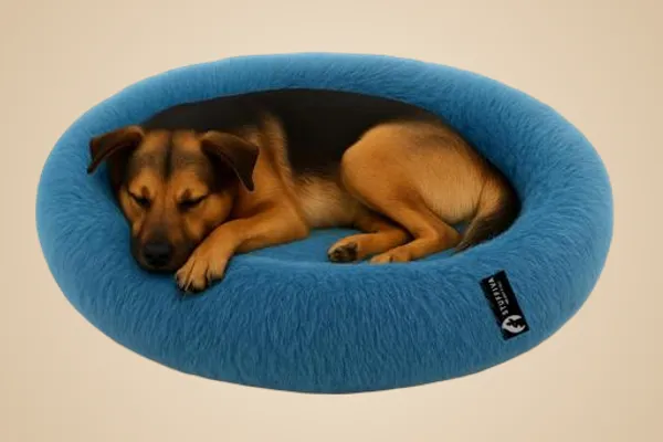 Oval_Shaped_Faux_Fur_Pet_Bed_For_Dogs_Kittens_L_Blue
