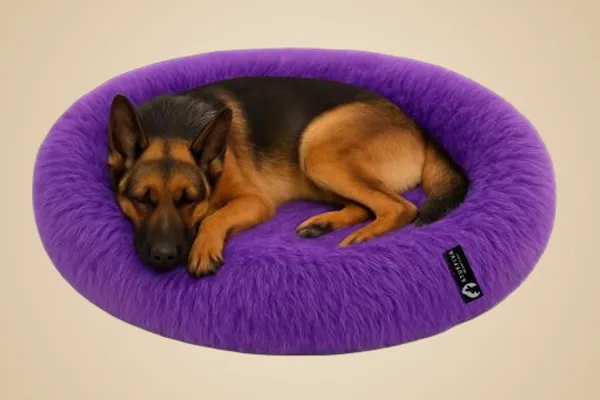 Oval_Shaped_Faux_Fur_Pet_Bed_For_Dogs_Kittens_L_Purple