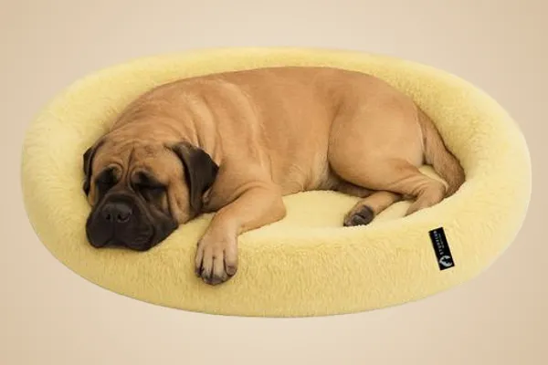 Oval_Shaped_Faux_Fur_Pet_Bed_For_Dogs_Kittens_Xl_Yellow