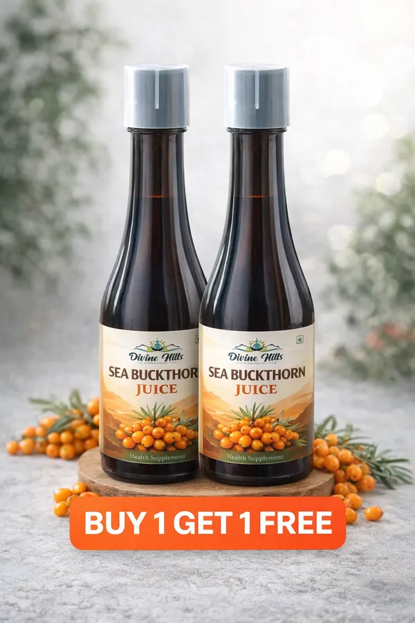 Pack_of_2_Sea_Buckthorn_Juice_—_Natural_Wellness_in_Every_Sip_