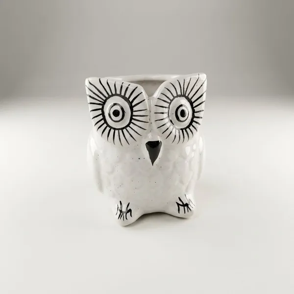 White_With_Black_Hand_Painted_Details_Owl_Face_Ceramic_Planter_For_Home_And_Decor