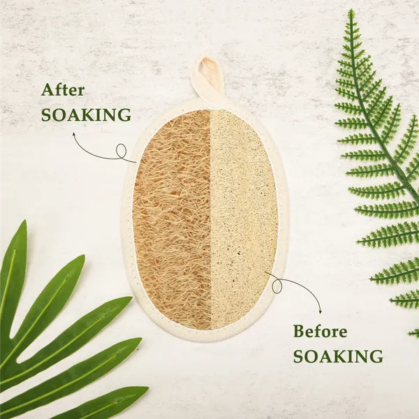 Natural_Terry_Organic_Loofah_And_Cellulite_Body_Brush_For_Body_Care_Pack_Of_5