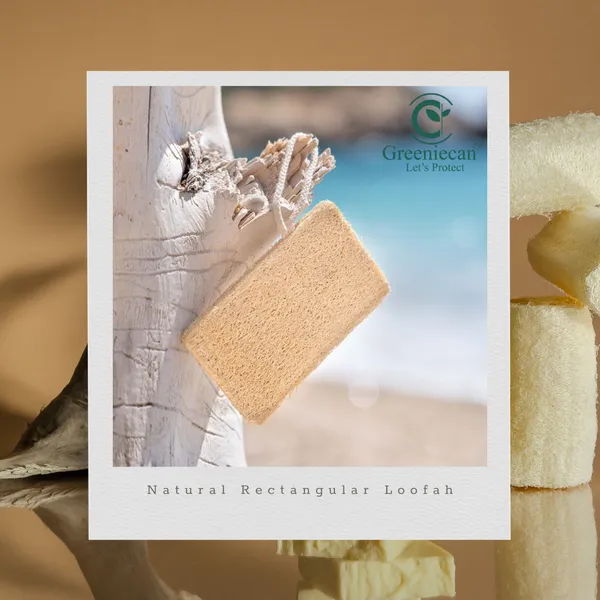 Ridgegourd_Natural_Body_Loofah_For_Bath_Pack_of_5
