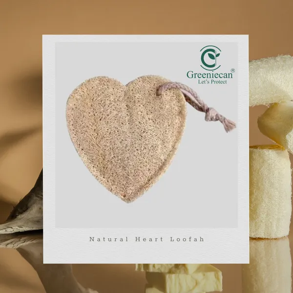 Ridgegourd_Natural_Body_Loofah_For_Bath_Pack_of_5