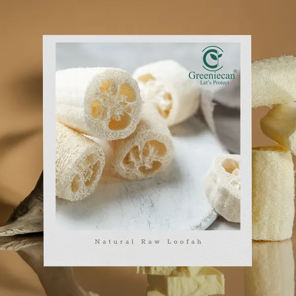 Ridgegourd_Natural_Body_Loofah_For_Bath_Pack_of_5