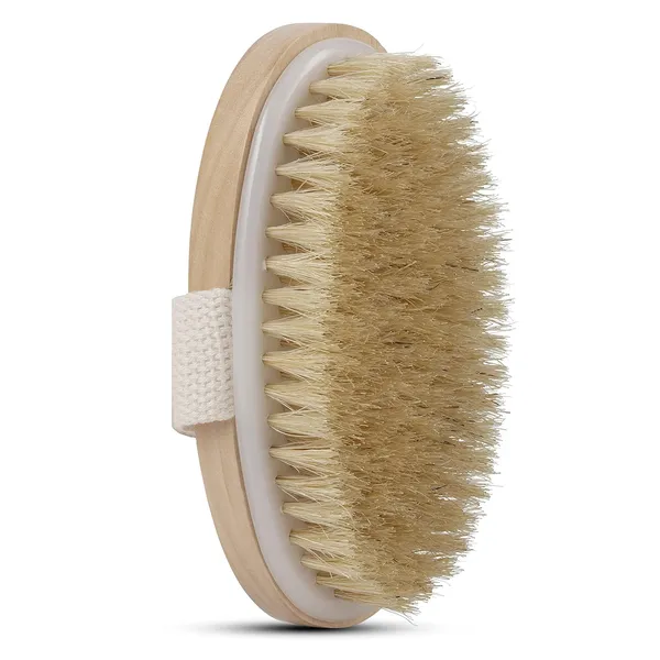 Wooden_Natural_Body_Brush_And_Handle_Dry_Brush_For_Body_Care_(Pack_Of_2)